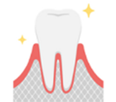 健康な歯ぐき