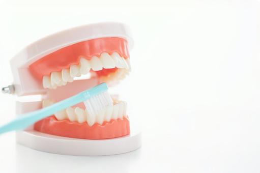 歯を磨いている画像